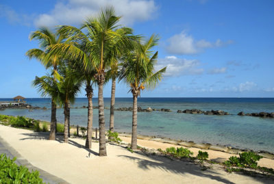 Beach in Mauritius with palm trees