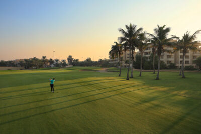 Fairway with palm trees