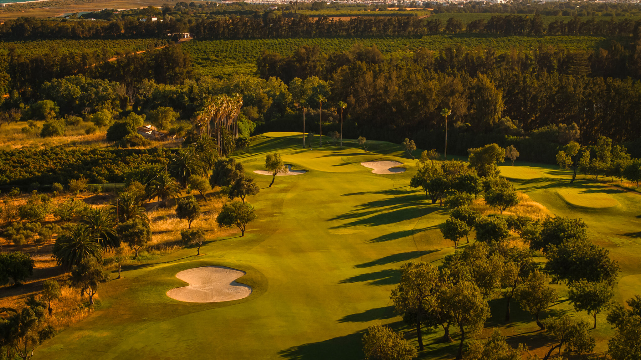 Fairway with trees and bunkers
