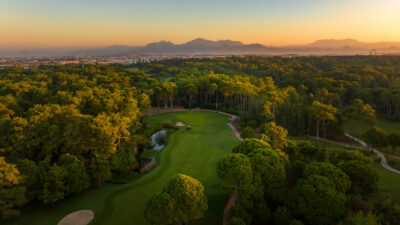 Aerial view of fairways with buggies on and trees around at sunset