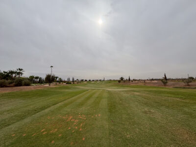 From tee box looking down the fairway with palm trees down the right at Al Maaden Golf Course