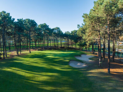 Fairway with trees around