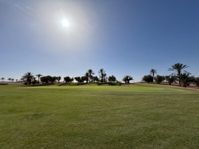 Greenside view with surrounding bunkers at Assoufid Golf Club