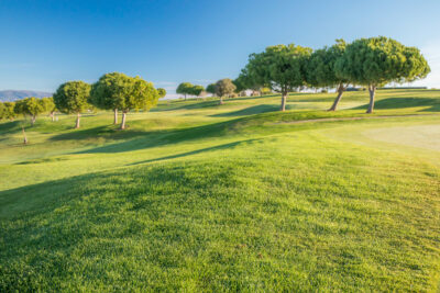 Fairway with trees in background at Boavista Golf & Spa Resort