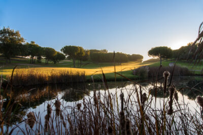 Lake on fairway with trees around and reeds in the foreground