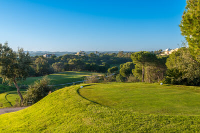 Tee box with trees around, overlooking the fairway with buildings in the distance