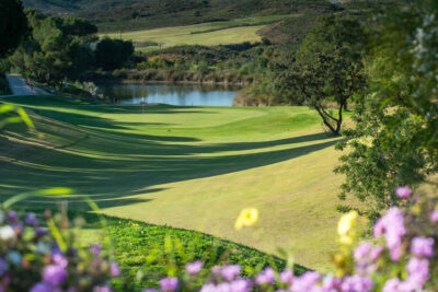 Fairway with flowers