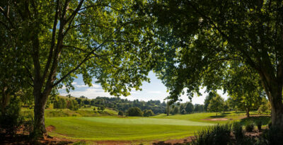 Golf hole with trees