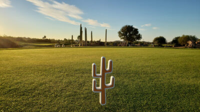 Cactus ornament on course