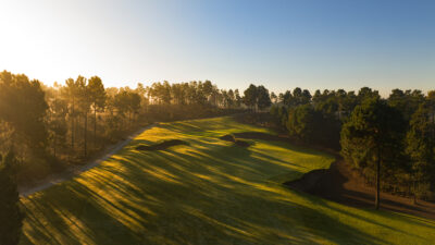 Fairway with trees around