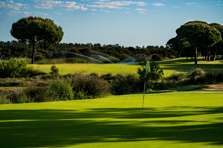Hole with trees around