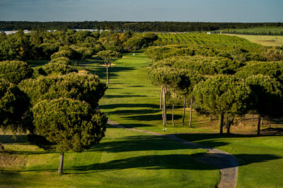 Fairway with trees around