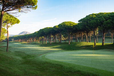 Hole with yellow flag with a fairway with trees around at Emporda Forest Course