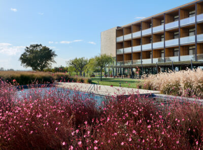Pink flowers with an outdoor pool and Hotel Terraverda in the background