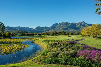 Stream and flowers on fairway