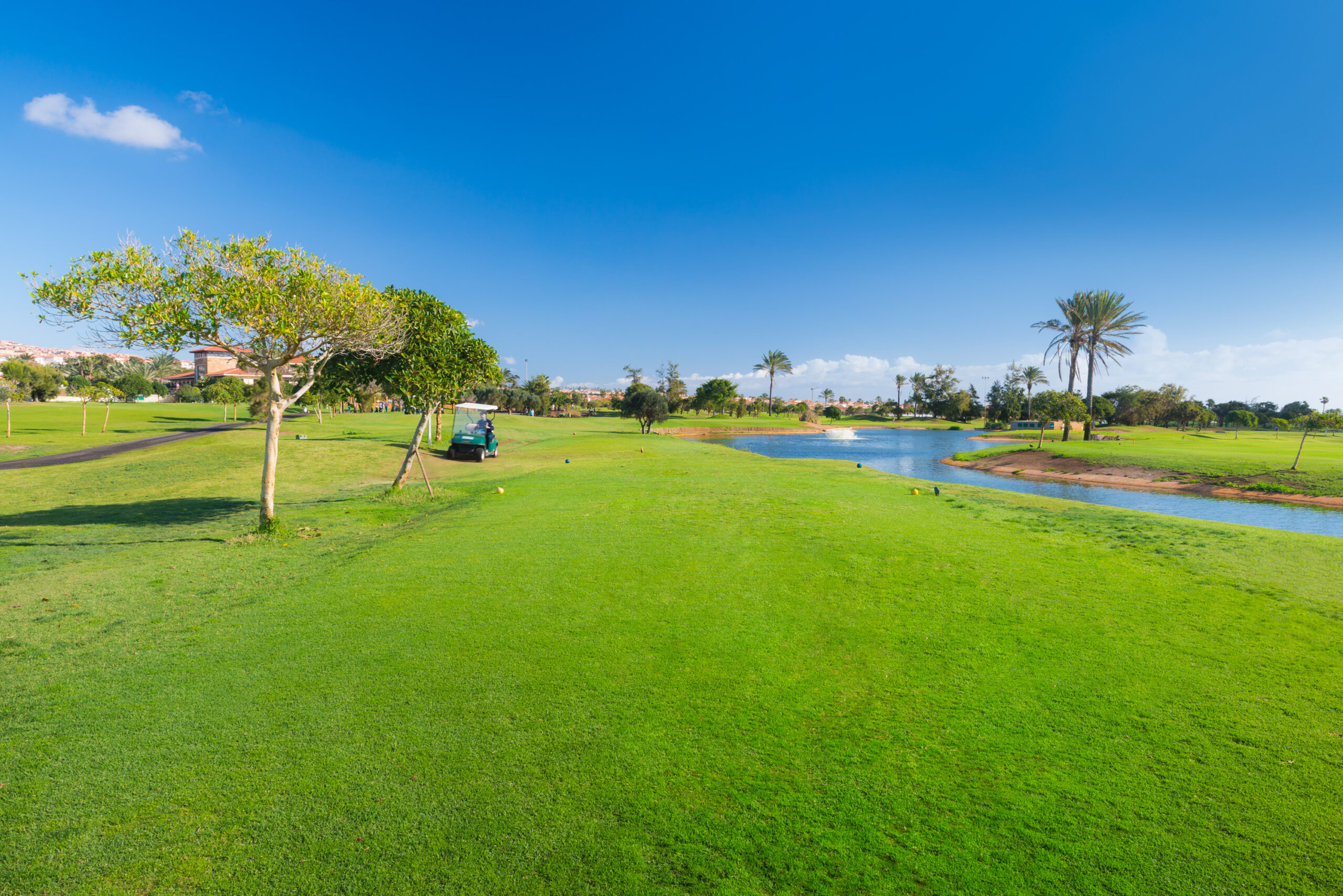 その他 BAiSE GOLF GETAWAY Fairway Getaway-by Whistling