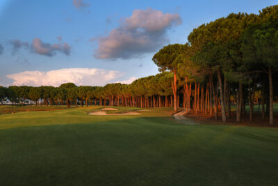 Fairway with trees around