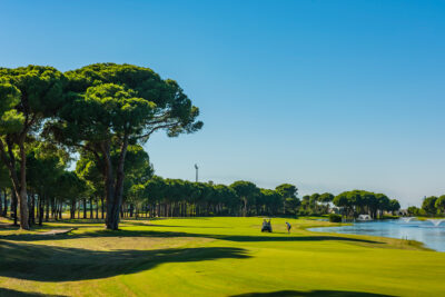 Fairway with trees around