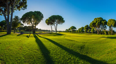 Hole with trees around