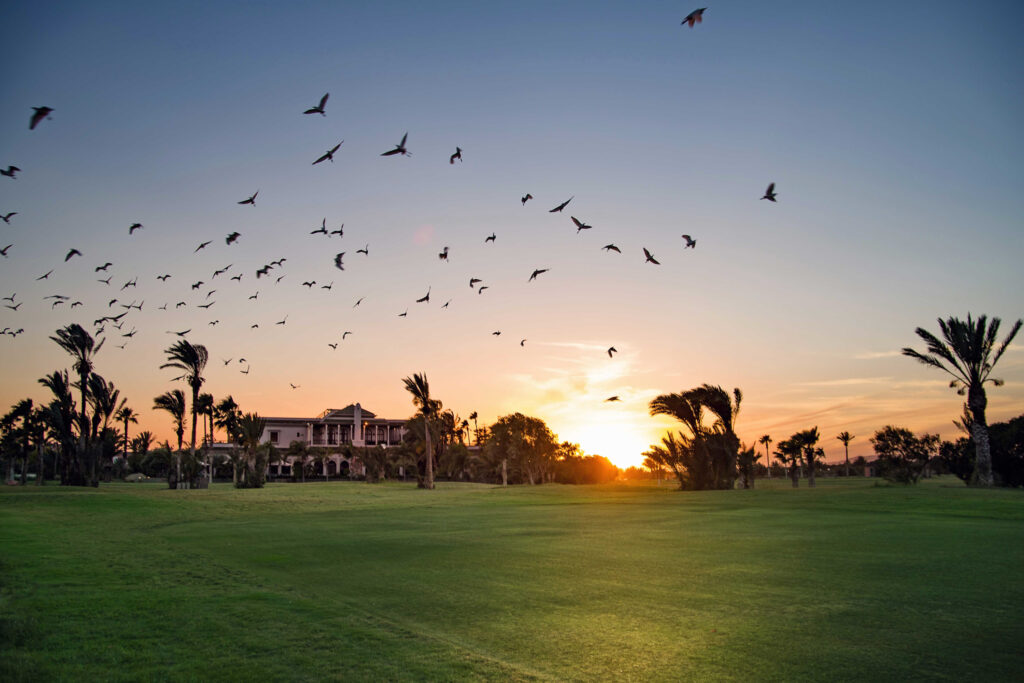 Fairways at Golf Club Palmeraie with birds in the sky