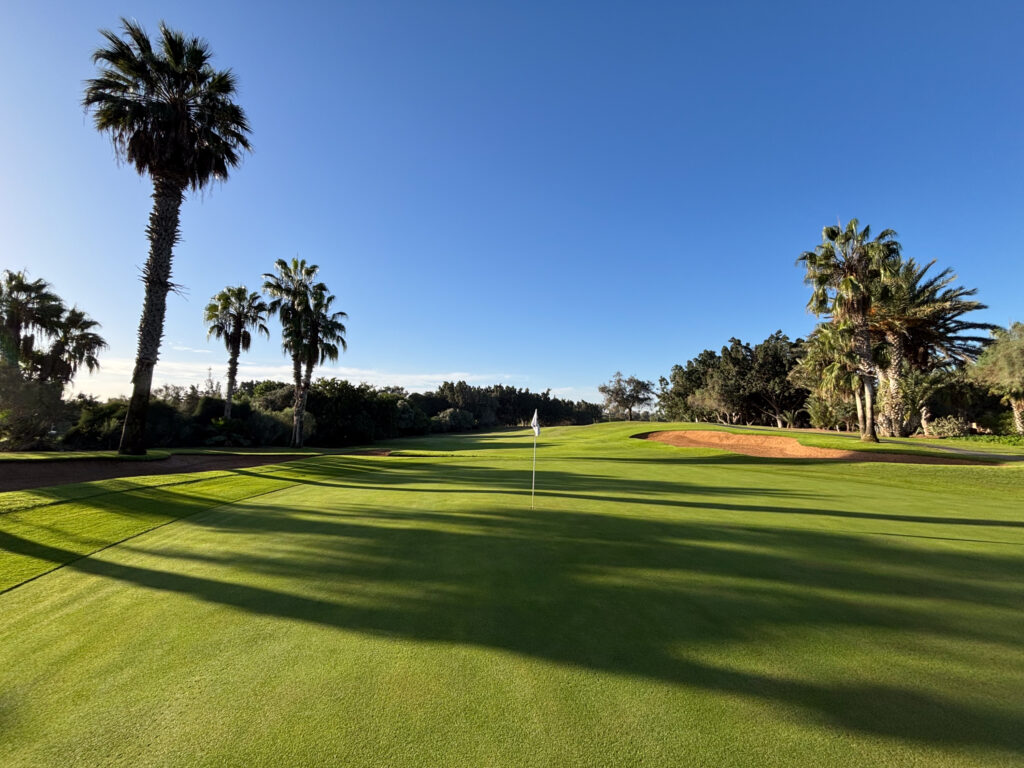 Green with palm trees running alongside at Golf du Soleil