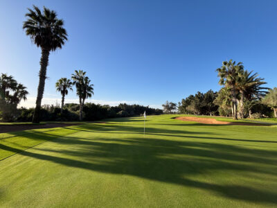 Green with palm trees running alongside at Golf du Soleil