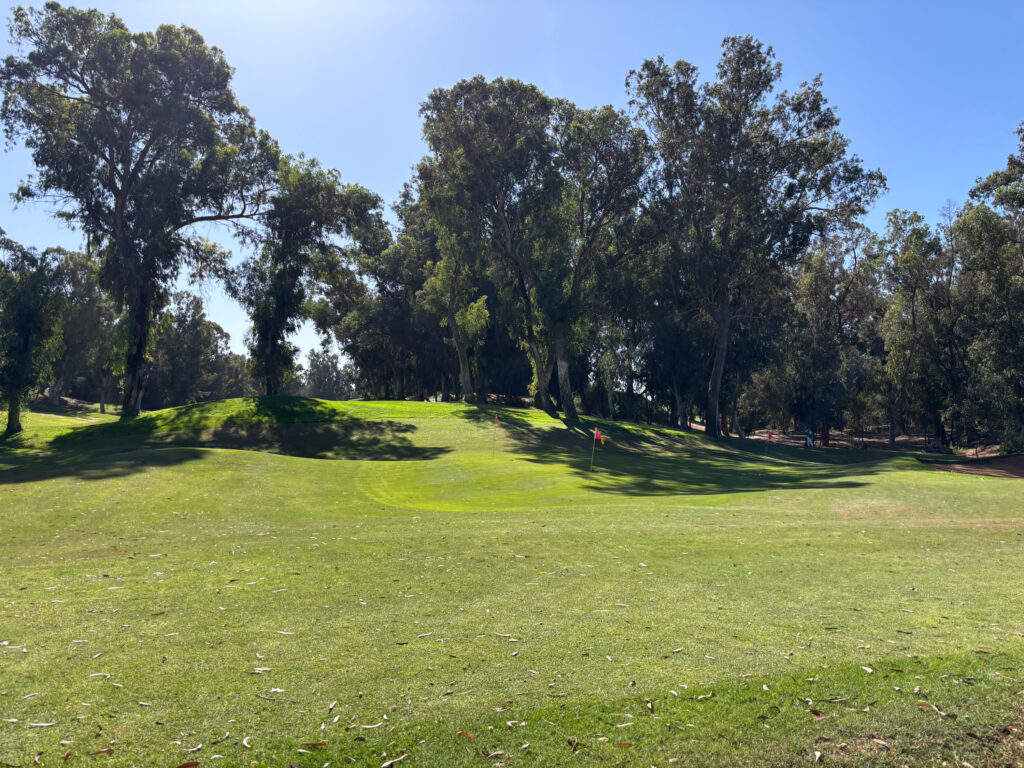 Front of the green with overhanding trees at the back of the green at Golf Les Dunes Course