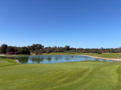 Green with lake in the background