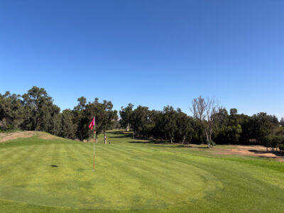 Green looking back towards the fairway at Golf Les Dunes Course
