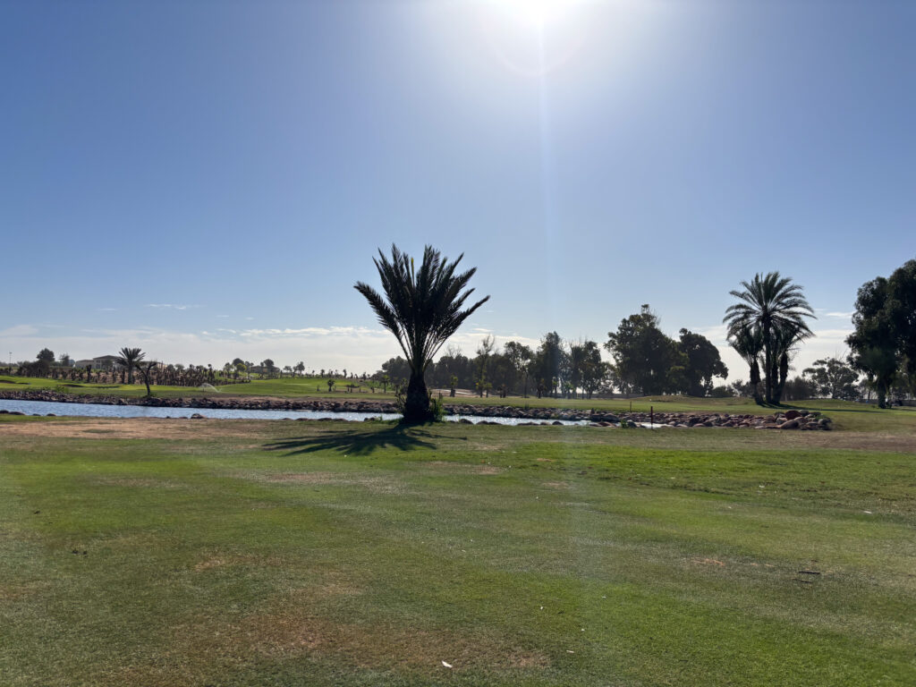 Fairway with palm tree and lake in background at Golf de L'Ocean Course