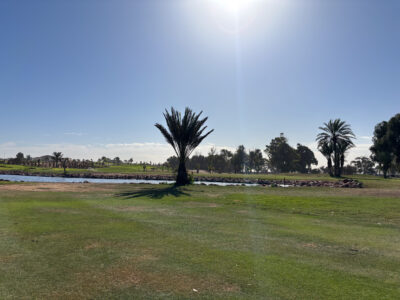 Fairway with palm tree and lake in background at Golf de L'Ocean Course
