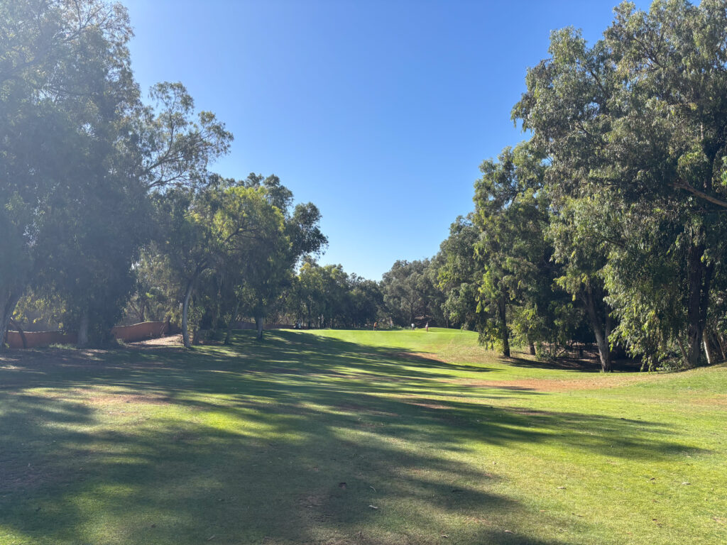 Fairway views with overarching trees at Golf de L'Ocean Course