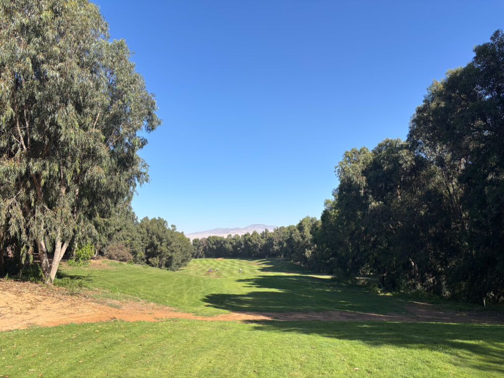 Fairways views with shadows created by the overarching trees at Golf de L'Ocean Course
