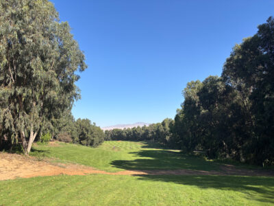 Fairways views with shadows created by the overarching trees at Golf de L'Ocean Course