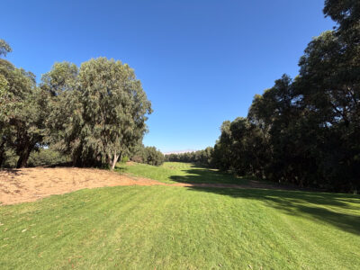 Fairway views with shadows created by overaching trees at Golf de L'Ocean CourseGolf de L'Ocean Course