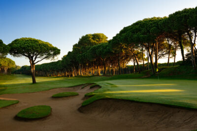 Bunker on fairway with trees