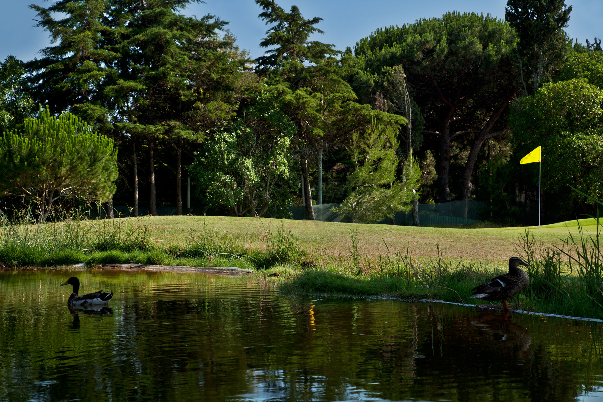 Golf Packages at Golf do Estoril, Portugal | Golf Escapes