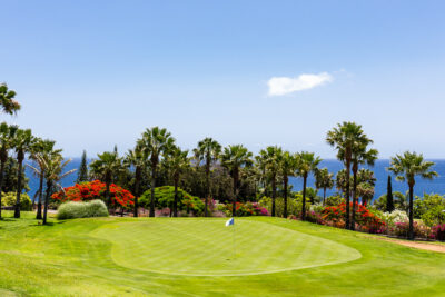 Hole with white flag with palm trees and flowers around, with the ocean in the background