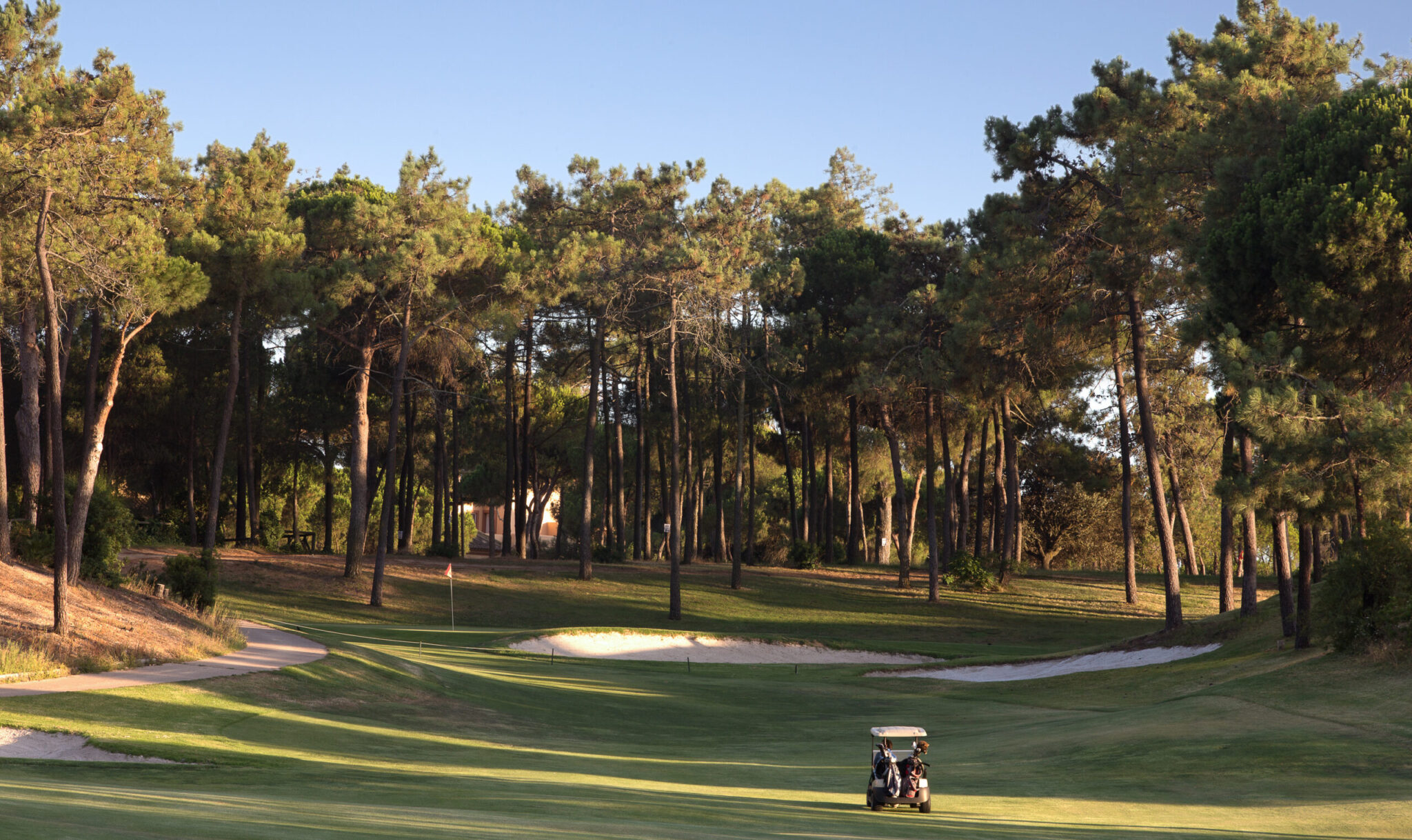 Buggy on the fairway at Islantilla Golf Course with trees around