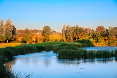 Lake with trees in background at Dom Pedro Laguna