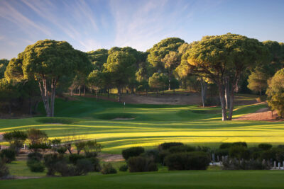 Cornelia Faldo golf course with bushes in the foreground and trees in the background