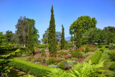 Gardens at Palheiro Estate