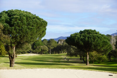 Trees and bunker on fairway