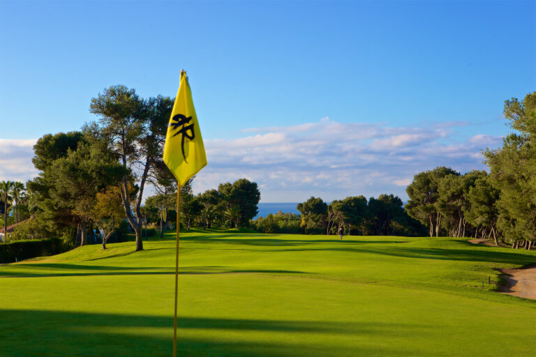 Yellow flag with trees around