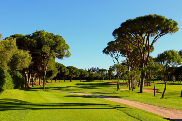Trees and bunker on course