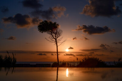 Outdoor pool with trees and bushes around with sunset in background