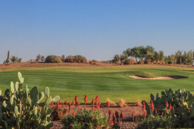 Hole with bunker at Samanah Golf & Country Club with trees around