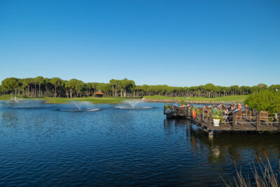 Lake at Sueno Hotels Golf Belek with trees in background