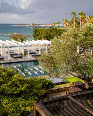Outdoor pool with trees around and loungers with ocean view