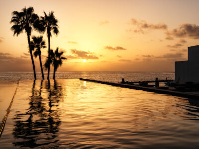 Outdoor pool with palm trees and ocean view at sunset